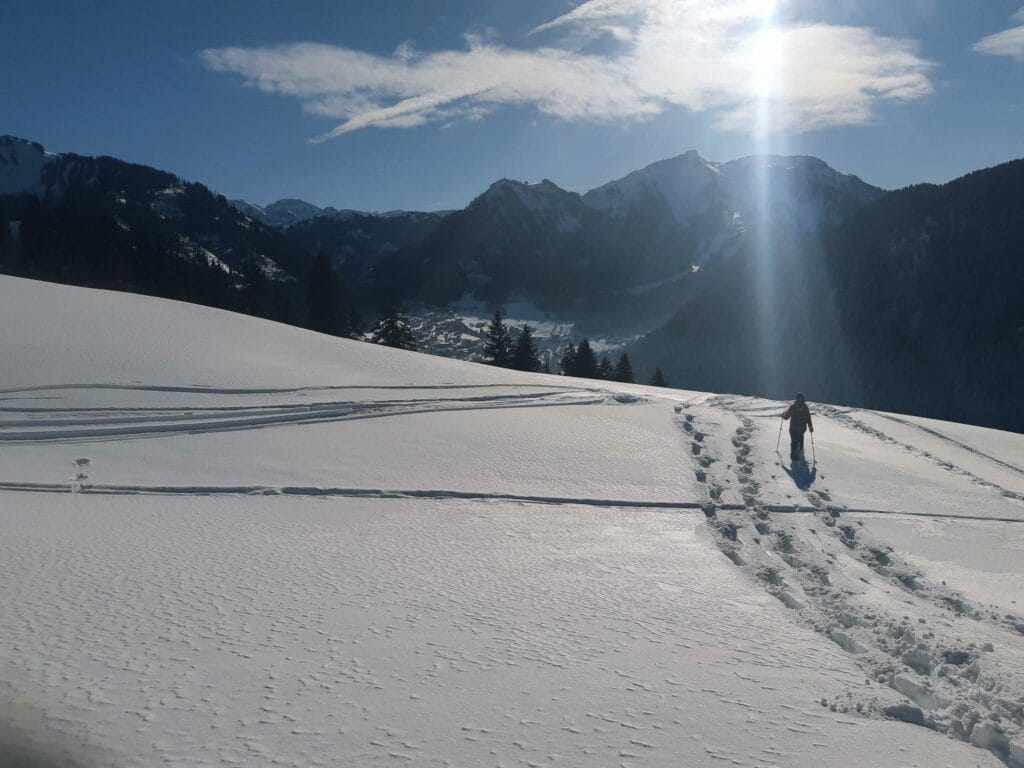 Snowshoeing bij Petit Châtel