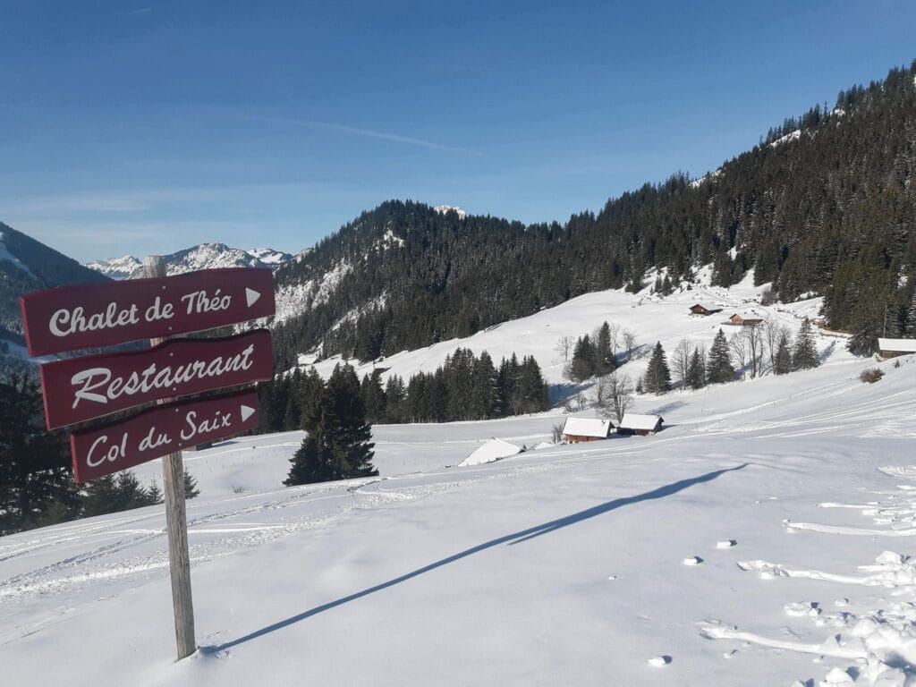 Snowshoeing bij Petit Châtel