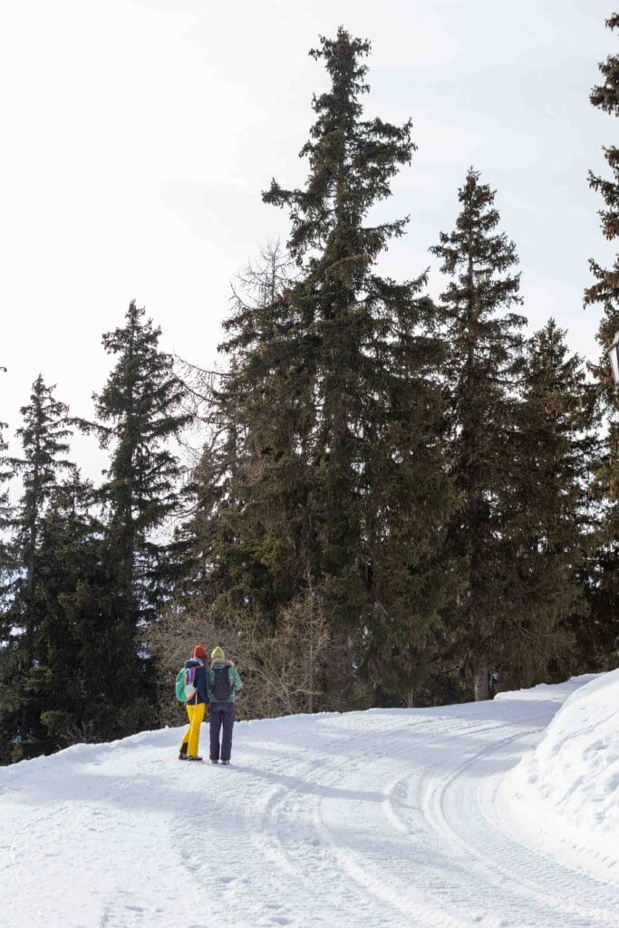 Sneeuwwandeling in het Aletsch Arena gebied - Zwitserland