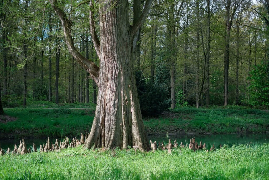 Landgoed Landfort