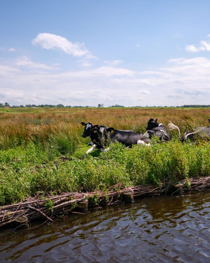 Het Ilperveld natuurgebied