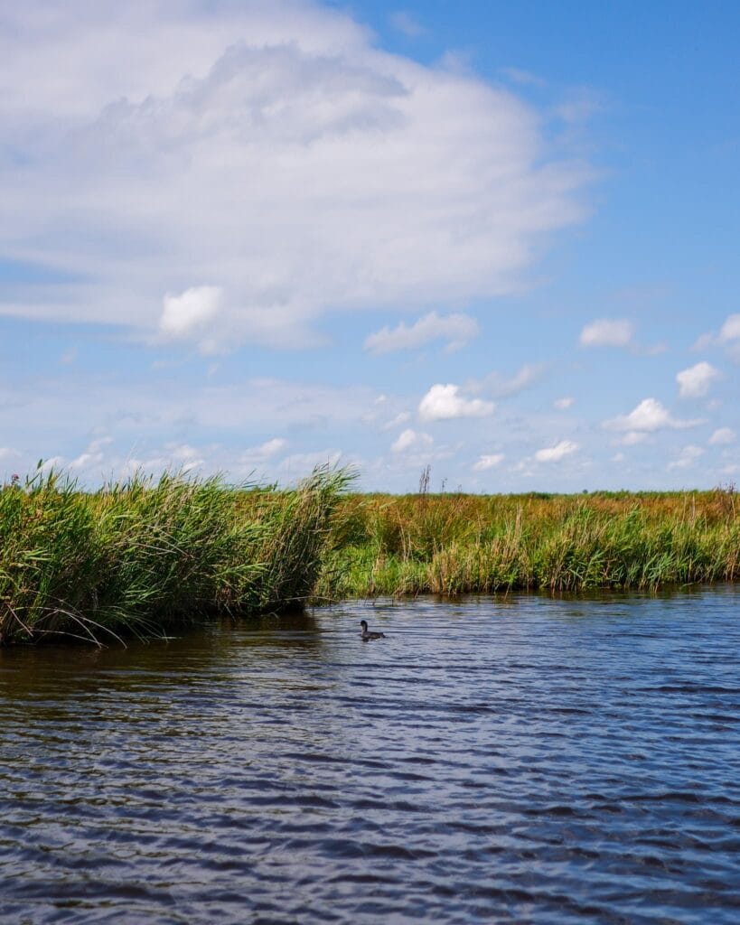 Het Ilperveld natuurgebied