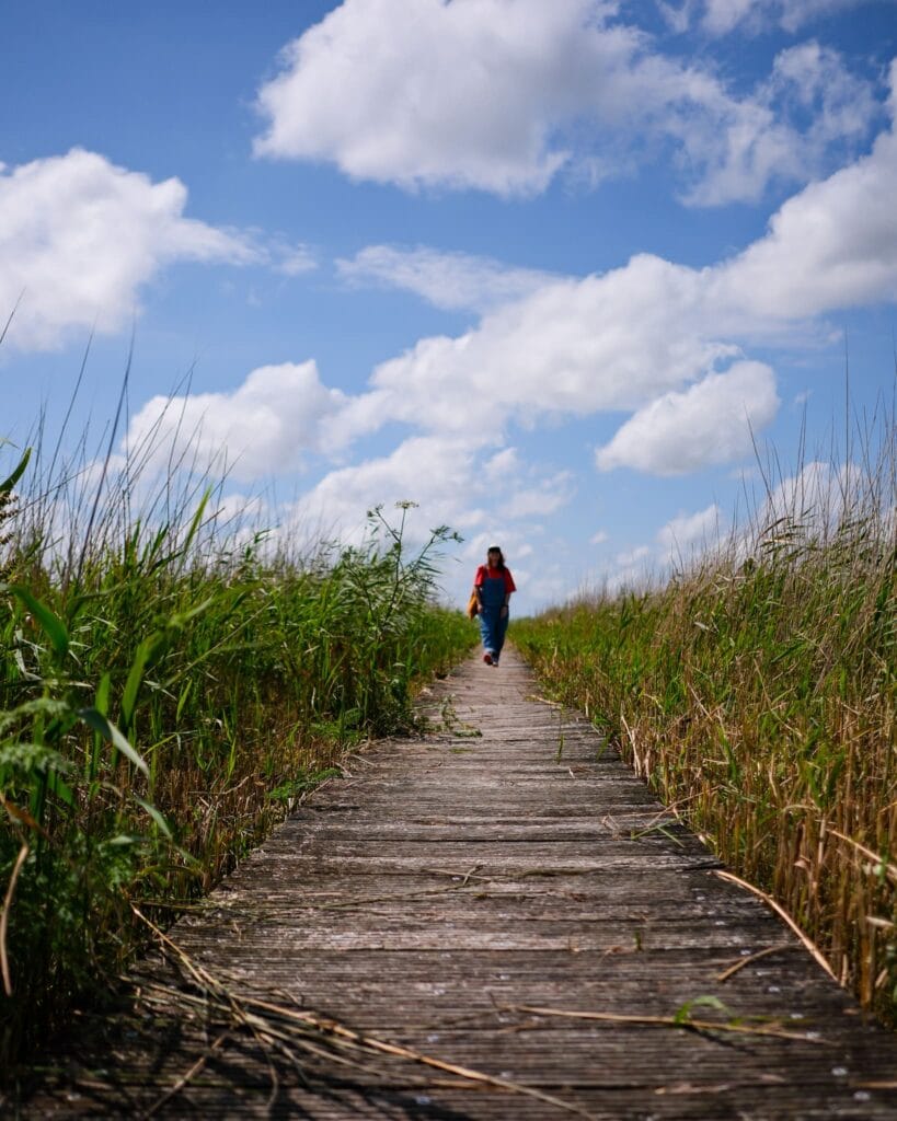 Ilperveld - vlonderpad