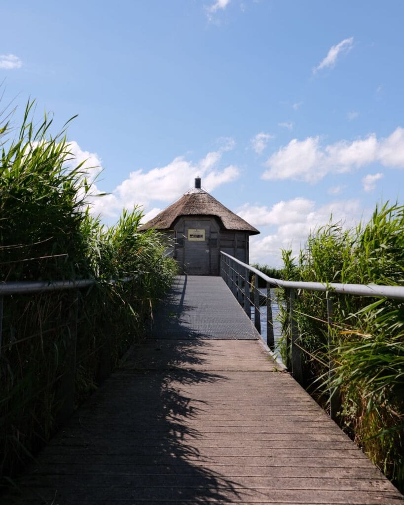 Ilperveld - vogelijkhut