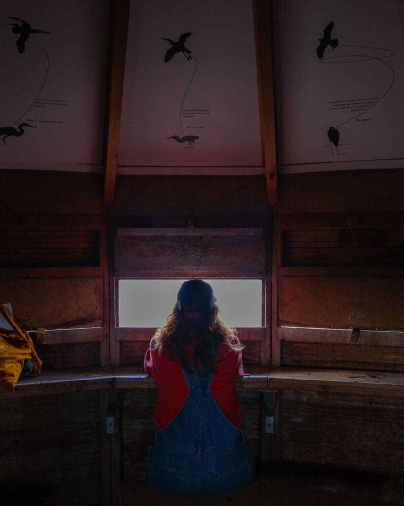 Ilperveld - vogelijkhut