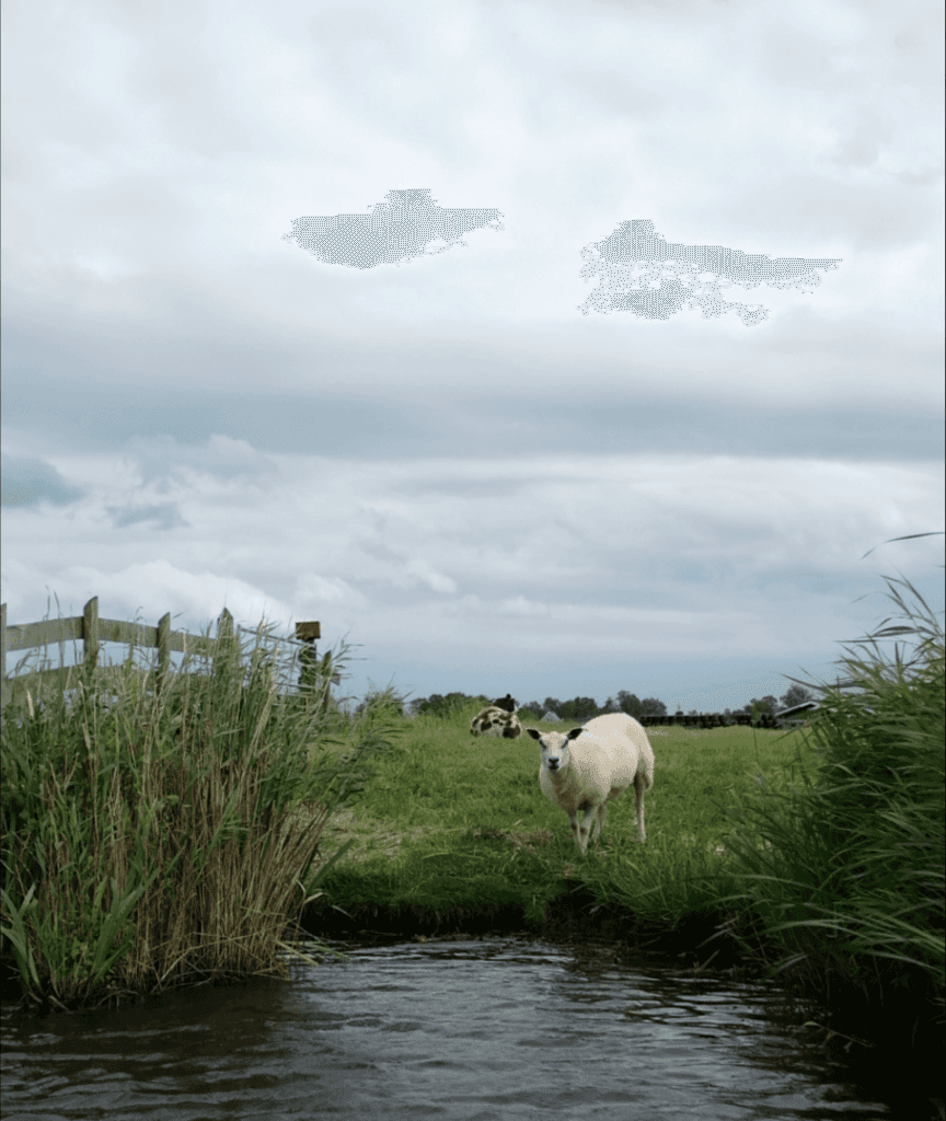 Het Ilperveld natuurgebied