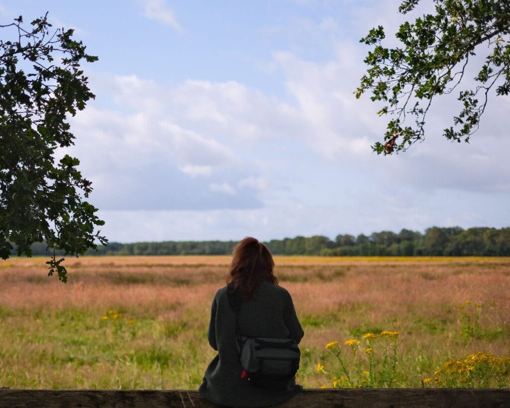 Van Gogh wandelroute Drenthe