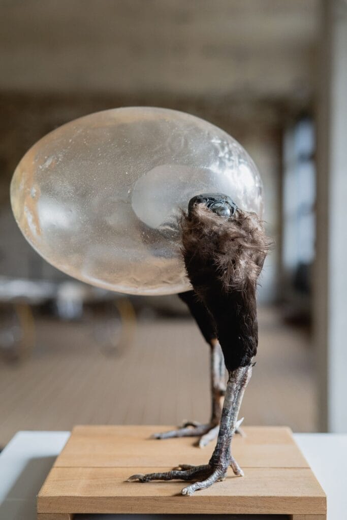 Kunstfestivals België - Watou Kunstfestival 