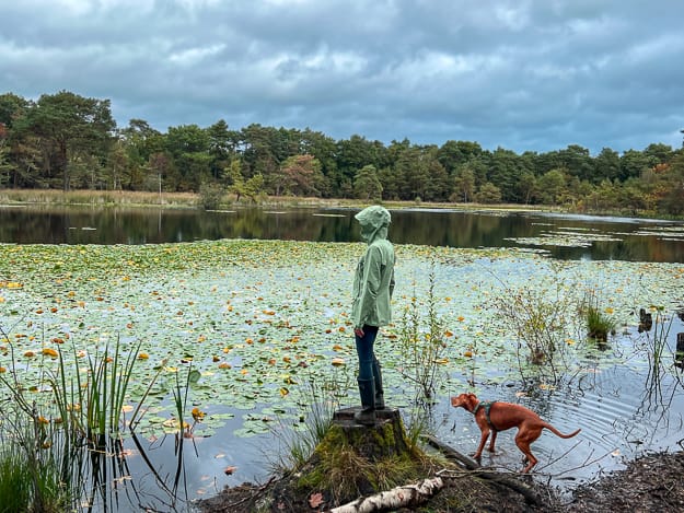 HellyHansen VerglasInfinityShell SimoneWittgen 15 - Over ons