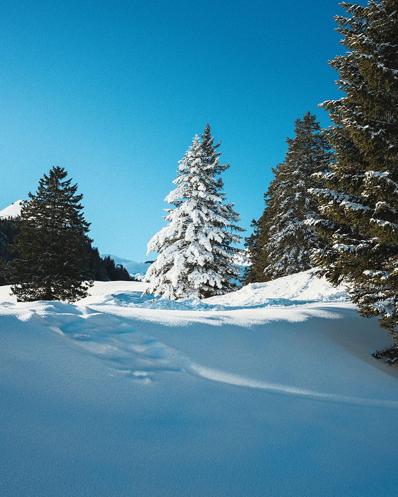 Sneeuwschoen wandeling Stoos
