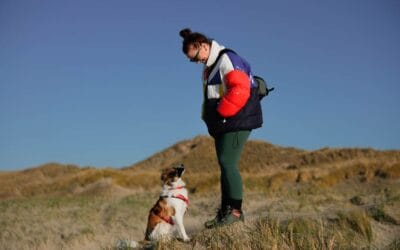 REVIEW: wandelschoen Grandview Goretex van Teva