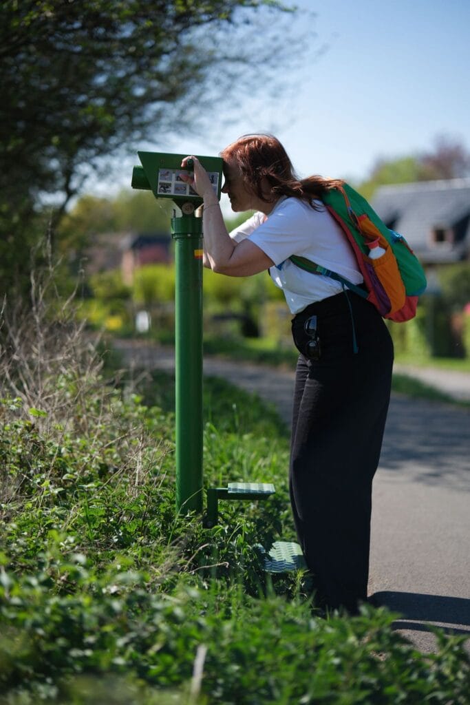 Natuurreservaat Molsbroek