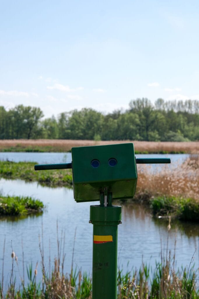 Natuurreservaat Molsbroek