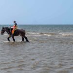 Vis in de hoofdrol - Oostende