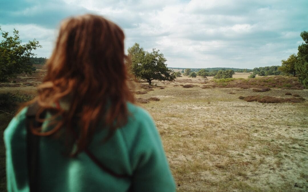 De Veluwe deelfiets - duurzaam Veluwe