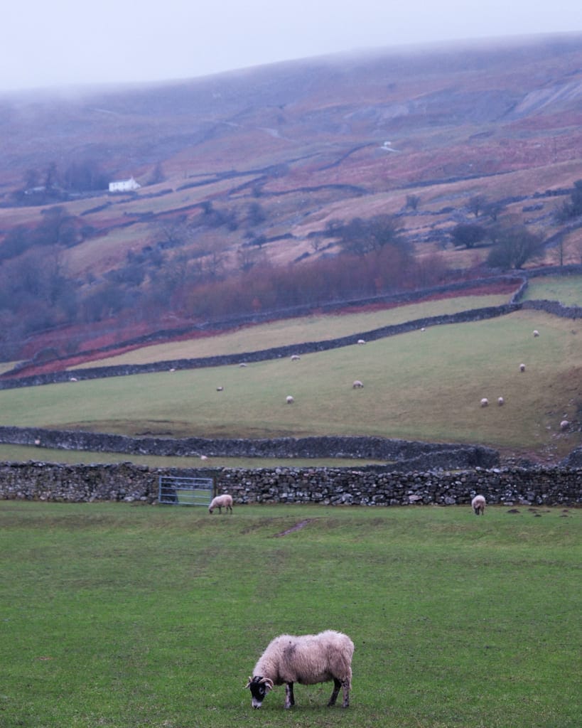 Alles wat je moet weten over Yorkshire