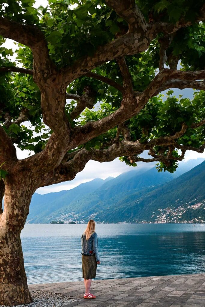 DSC 3495 2 - Ticino in Zwitserland: Italiaanse Sferen aan het lago Maggiore
