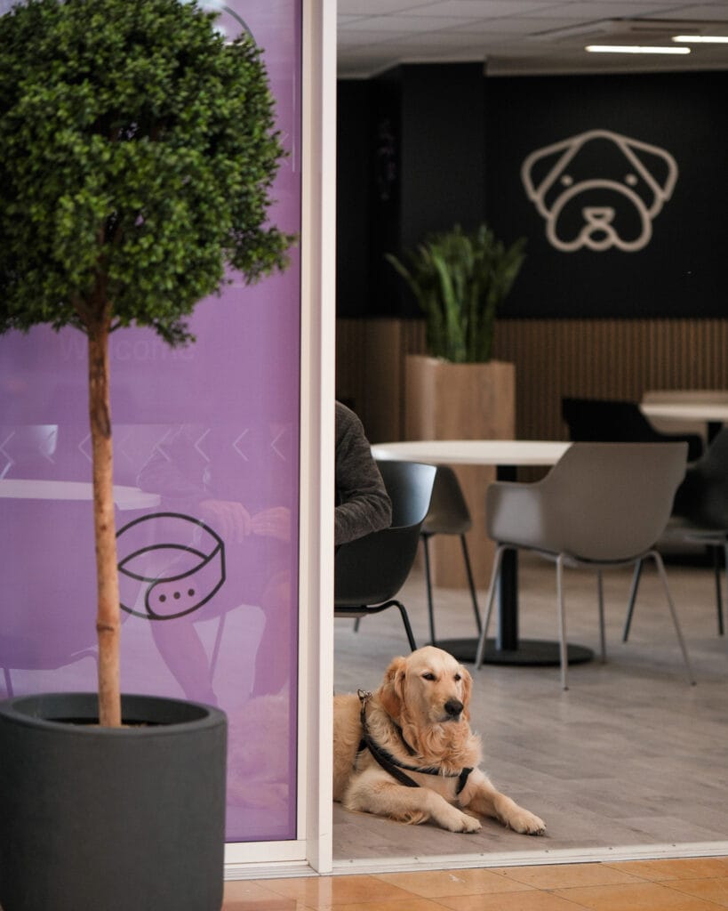 LeShuttle met hond - Met LeShuttle van Calais naar Folkestone in 35 minuten