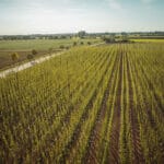 Hopfietstocht Westhoek