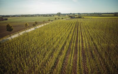 HOPfietstocht door de Westhoek: langs UNESCO-biererfgoed en WOI-geschiedenis