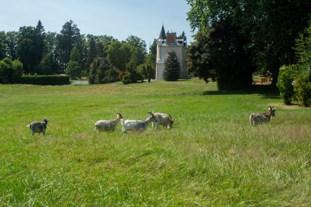les castels campings france chateau ecotourisme - Kamperen in Frankrijk: ontdek de authentieke campings van Les Castels
