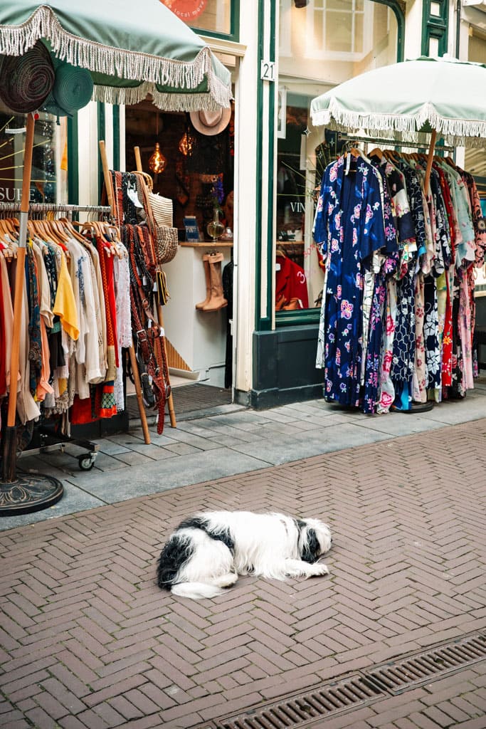 Vintage Treasure Zutphen - (Vintage) Shoppingtour in Zutphen - tweedehands winkels