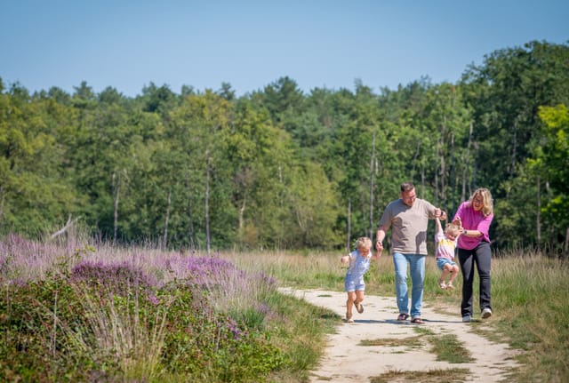 Hoogerheide - De Tovertuin: een weekend weg in de wereld van Woezel & Pip