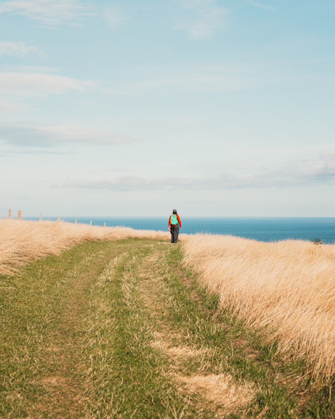 Cleveland Way kustwandeling
