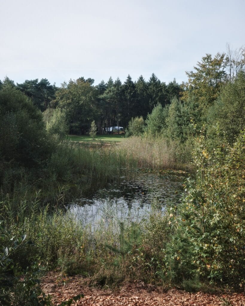 Terrein Bodhine - Bodhine, meer dan een weekendje weg in Drenthe