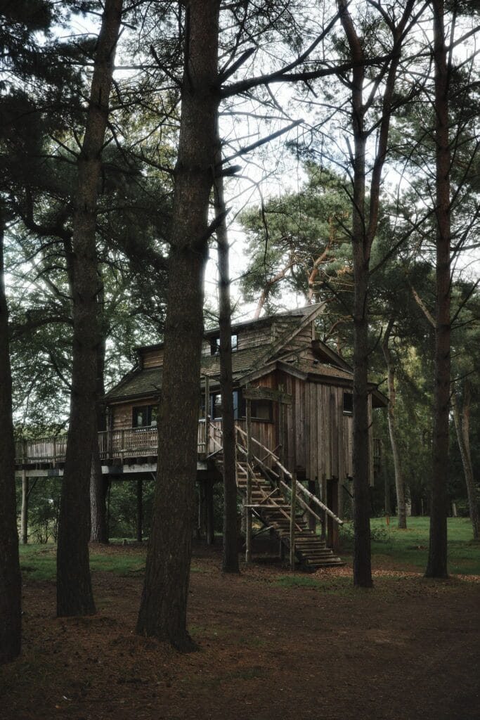 Tree House Bodhine - Bodhine, meer dan een weekendje weg in Drenthe