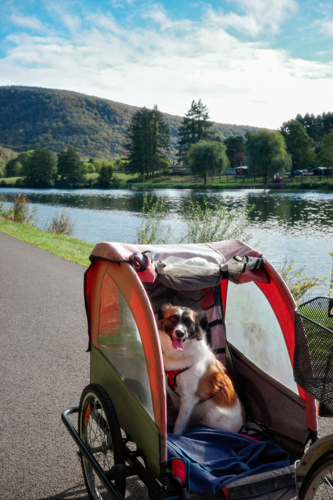 Voie Verte fietsen in de Ardennen