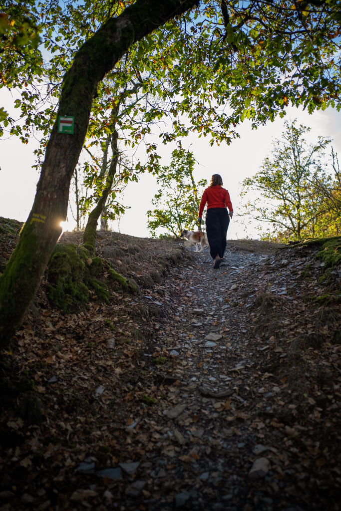 Wandelen in de Franse Ardennen - Roadtrip Franse Ardennen: 4 dagen route + tips